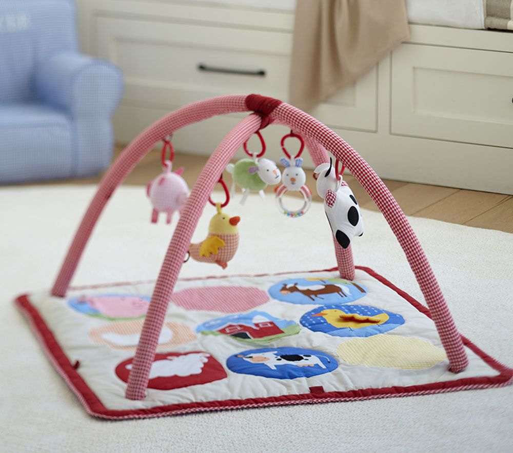 Farmyard Activity Gym